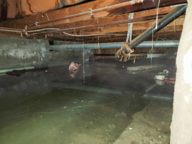 Best Water damage contractors near me  in Audubon Park, KY