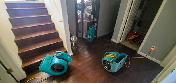 Best Water damage cleanup near me  in Audubon Park, KY