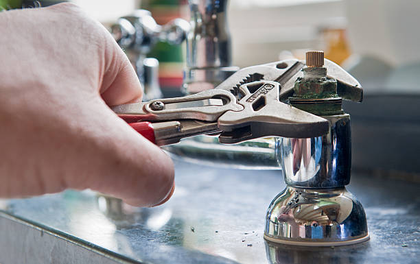 Best Mold removal after water damage  in Audubon Park, KY