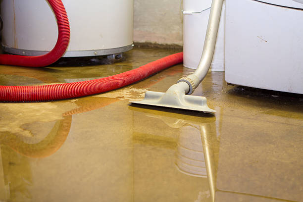 Best Fire Damage Restoration  in Audubon Park, KY