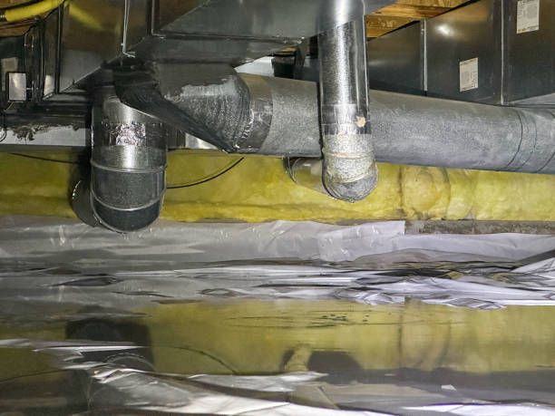 Best Basement water damage restoration  in Audubon Park, KY